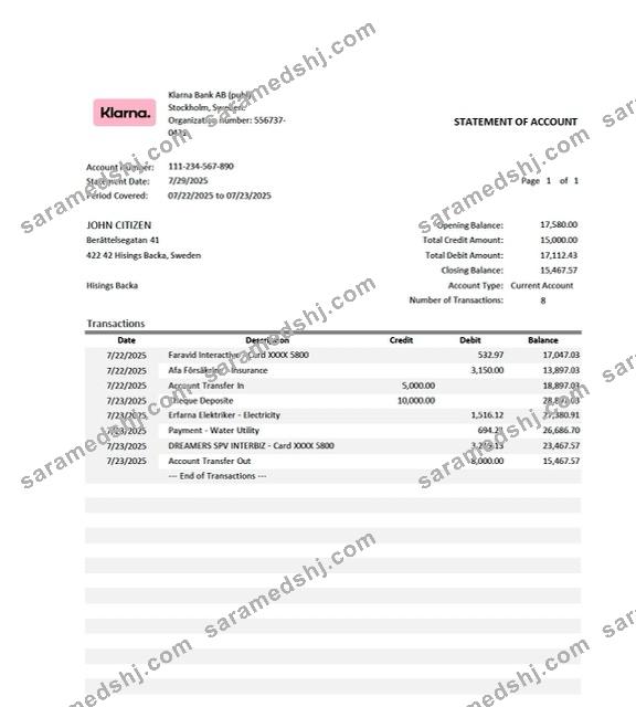 Sweden Klarna Bank statement of account Word and PDF template